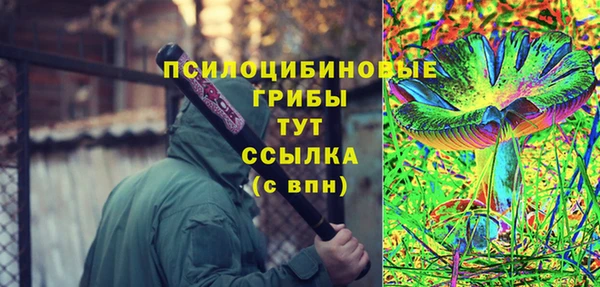 первитин Заволжск