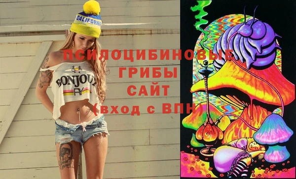 трава Заводоуковск