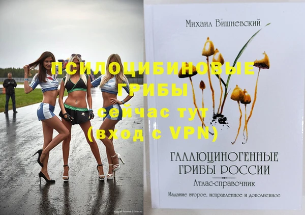 стафф Заволжье