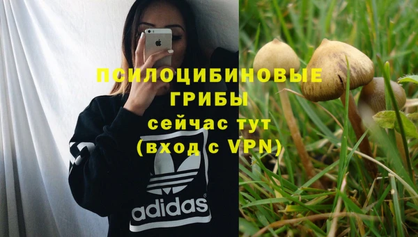трава Заводоуковск