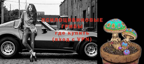 трава Заводоуковск
