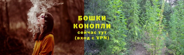 трава Заводоуковск