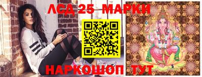 прущие грибы Гатчина