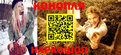 прущие грибы Гатчина