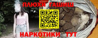 прущие грибы Гатчина
