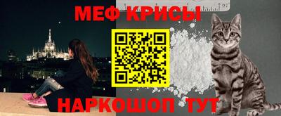 прущие грибы Гатчина